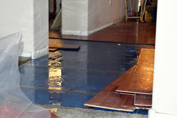Professional Water Damage Restoration technician working in Mount Ulla, NC